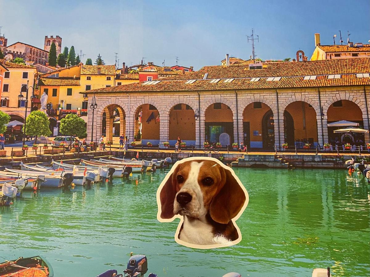 Desenzanoloft La Mia Favorita Lägenhet Desenzano del Garda Exteriör bild